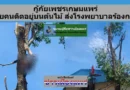 กู้ภัยเพชรเกษมแพร่ ช่วยคนติดอยู่บนต้นไม้ นำส่งโรงพยาบาลร้องกวางแล้ว