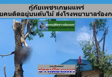 กู้ภัยเพชรเกษมแพร่ ช่วยคนติดอยู่บนต้นไม้ นำส่งโรงพยาบาลร้องกวางแล้ว